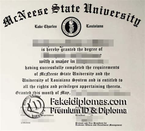 McNeese State University degree | PPT