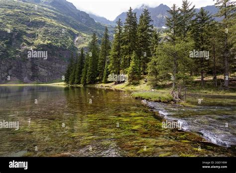 Summer At The Hintersee Lake In Mittersill Salzburg Austria Stock Photo