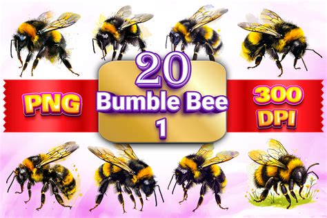 Bumble Bee Clipart Graphic by ColorBound Books · Creative Fabrica