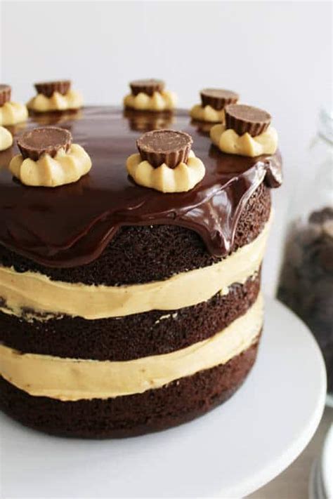 Chocolate Peanut Butter Cake {from Scratch Cake With Reese S Candies}