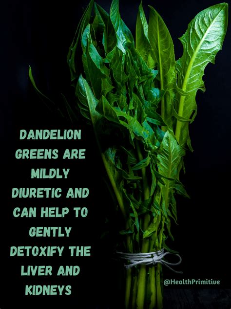 Dandelion Greens, The Beneficial Weeds ~ HealthPrimitive