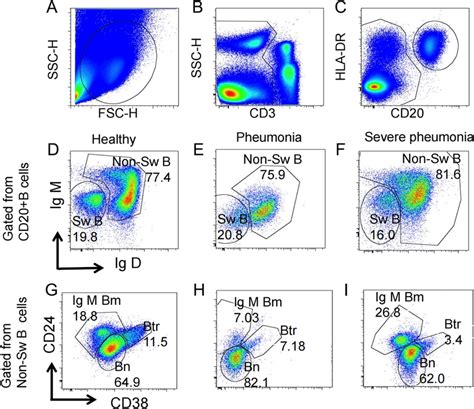 Gating Strategy For The Identification Of The Indicated B Cell Subsets