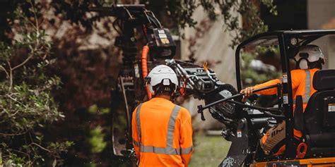 How to Cut Down a Tree Near a House: Expert Safety Tips