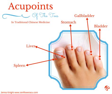 Meridian Points Of The Toes Acupuncture Healing Reflexology