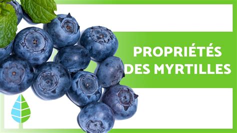 BIENFAITS des MYRTILLES Propriétés à quoi elles servent et comment