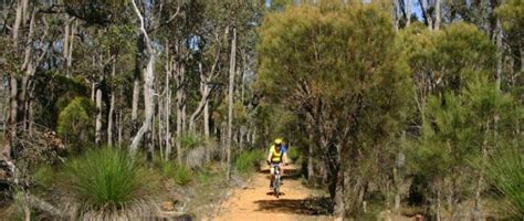 Jarrahdale Balmoral Trail Walk 12km Langford Park Wa