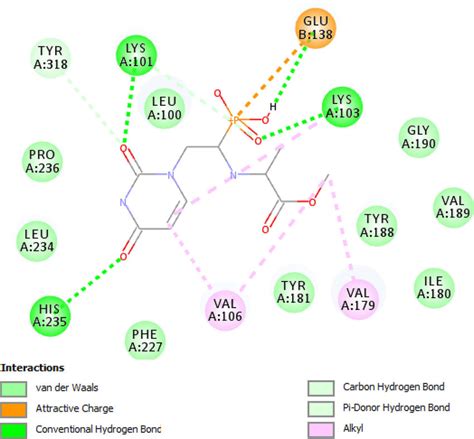 2d Interactions Of Compound 14a In The Binding Sites Of Hiv 1 Rt