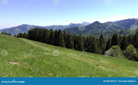 Greenland stock image. Image of hills, bavaria, forest - 95642873