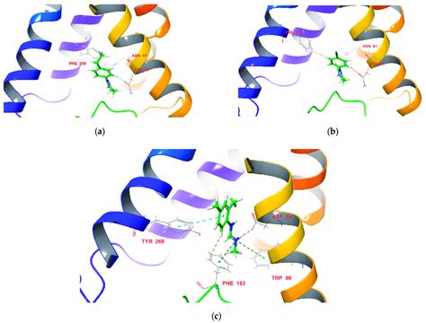 Docking Predicted Binding Modes Of Compounds A C B F And C