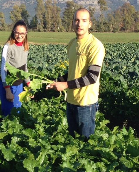 Terracina Al Boschetto Di Borgo Hermada Il Progetto Endas Che