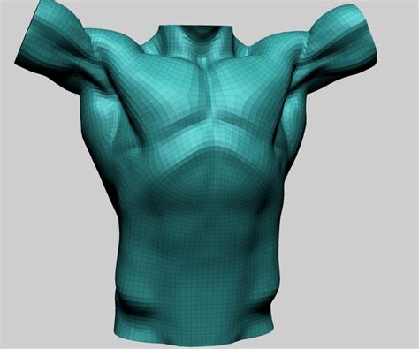 Artstation Male Torso Models For Reference Resources