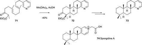 Minisci Reactions Versatile Ch Functionalizations For Medicinal