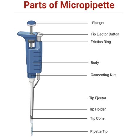 Microbiology Lab final pt 1 Flashcards | Quizlet