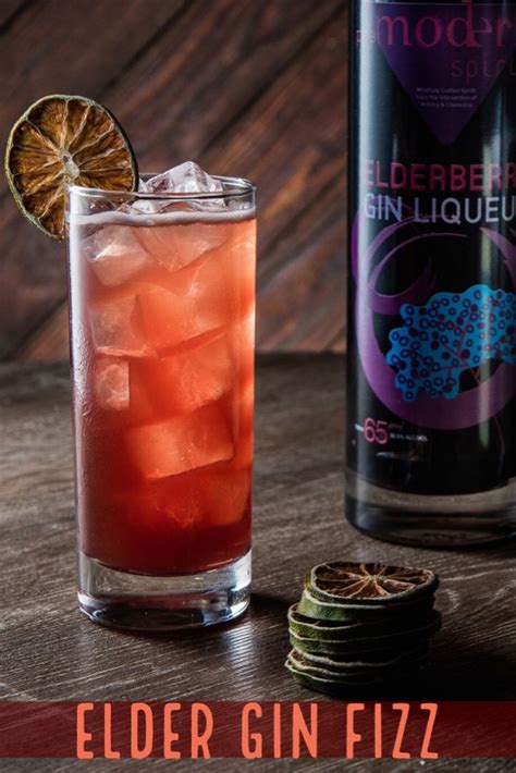 Elder Gin Fizz Postmodern Spirits Gin Fizz Cocktail Bitters Elderberry Liqueur