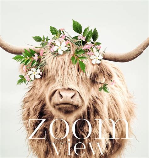 Highland Cow With Flower Crown From The Crown Prints Printable Art Boho Decor Farmhouse Wall