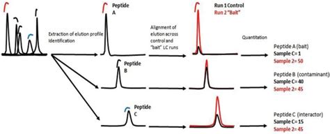 Working Principle Of Label Free Quantification Lfq Elution Profiles