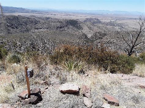 Wildlife Monitoring at Chiricahua National Monument, 2021 (U.S ...