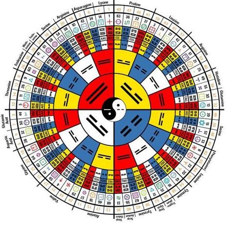 64 Hexagrams Corresponding The 64 Dna Code Words I Ching Feng Shui