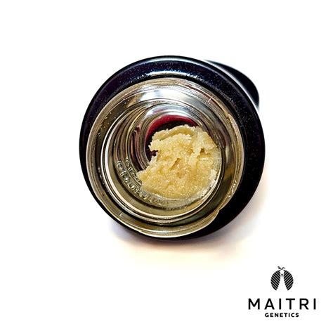 Lemon Tree Maitri Genetics Live Rosin Jane