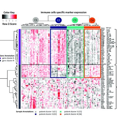 Immune Cell Type Specific Gene Expression Unsupervised Hierarchical