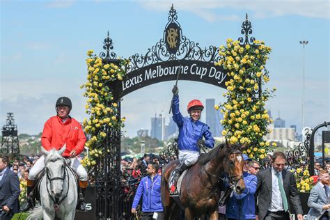 Melbourne Cup Horse Clipart Teal And Blue