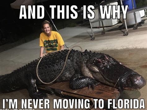 Happy National Florida Day 2023 Meme Technewssources