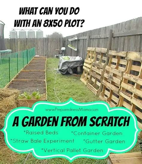 Starting a Garden from Scratch - PreparednessMama
