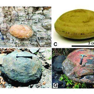 Carbonate Concretions In Shales A Carbonate Concretions In Hanover