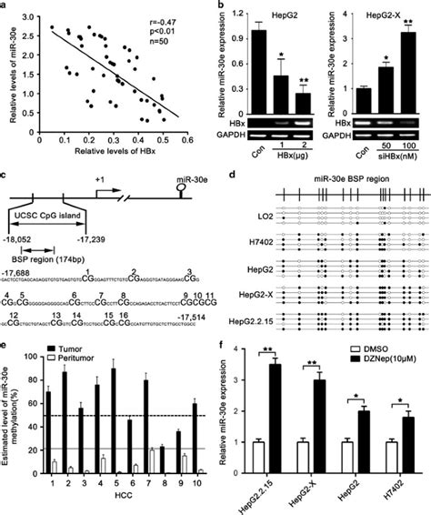 Hepatitis B Virus X Protein Promotes The Development Of Liver Fibrosis