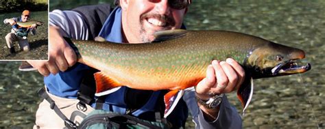 Dolly Varden Are Visually Stunning In September Alaska Fly Fishing Trips