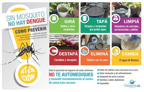 Sin mosquito no hay Dengue Municipalidad del Partido de Olavarría