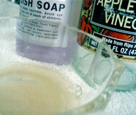 Dish Soap and Apple Cider Vinegar Fruit Fly Trap | Pintester