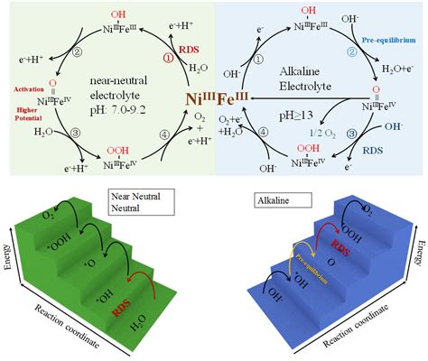 Investigation Of Nife Based Catalysts For Water Oxidation In Different