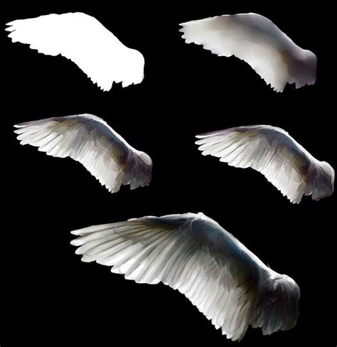 Wing Art Reference Digital Painting Tutorials Concept Art Tutorial