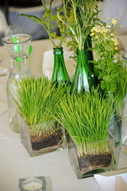 49 Fresh Wheatgrass Home Décor Ideas To Try In Spring Digsdigs