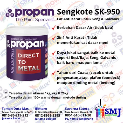 Jual Cat Seng Galvanis Anti Karat Propan Sengkote Sk 950 Warna Tinting