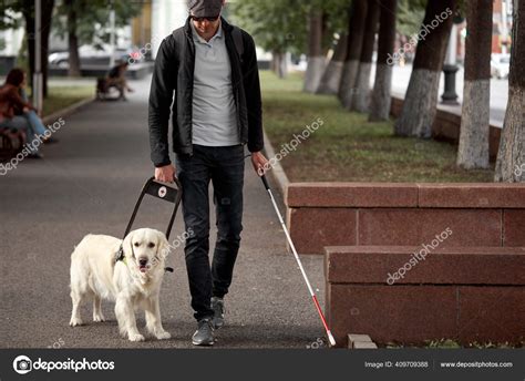 A Dog Helping A Blind Person