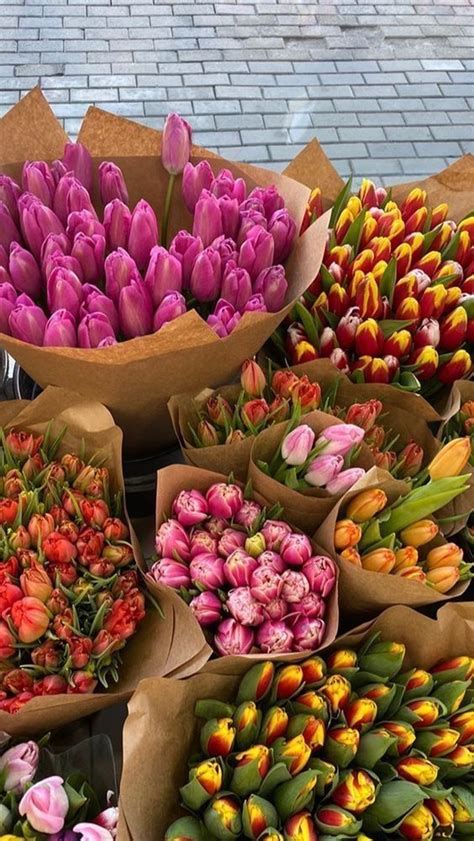 Pin By On In Nothing But Flowers Tulips