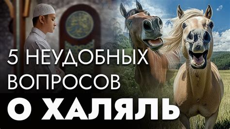 История ХАЛЯЛЬ в Казахстане | Конина — это ХАРАМ? - YouTube