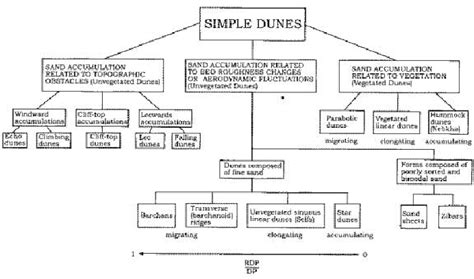 4. Classification of major dune types based on dune genesis and wind ...