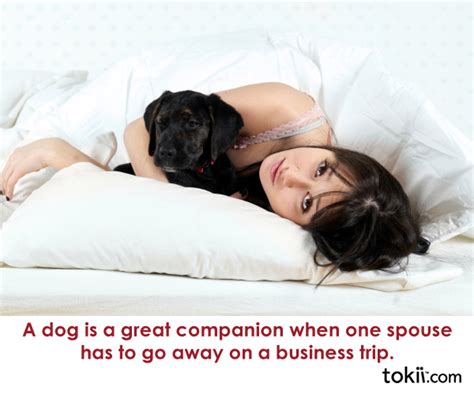 Loyal Companion Quotes. QuotesGram