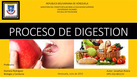 Proceso De Digestion PPT Descarga Gratuita