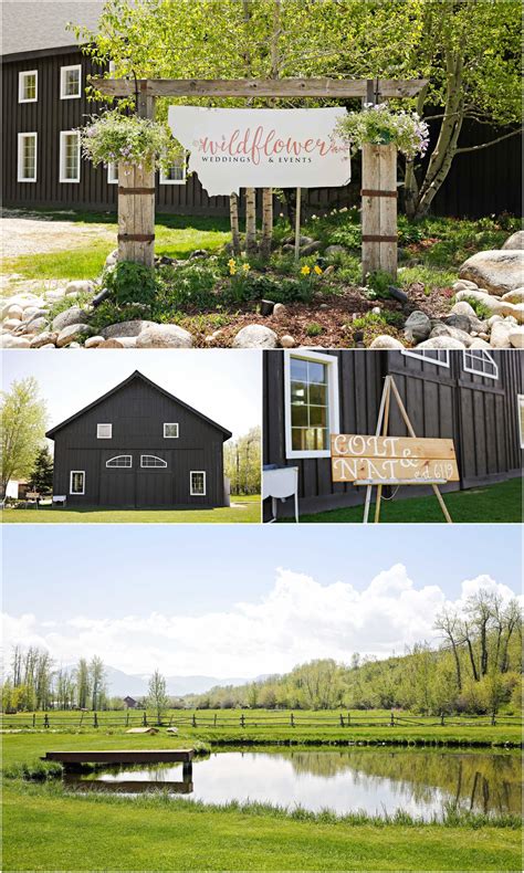 montana wildflower wedding 1