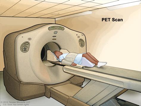 Positron Emission Tomography Scan