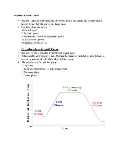 Bacterial growth curve