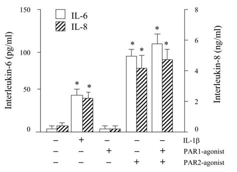 Effects Of Agonists For Protease Activated Receptor Par1 And Par2