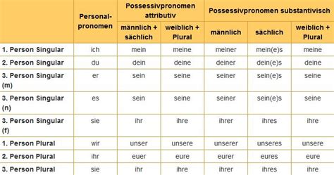 Pronombres Posesivos En Aleman
