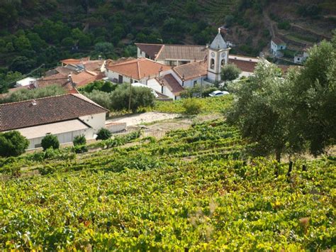 douro valley covelinhas village editorial photo image  grappe
