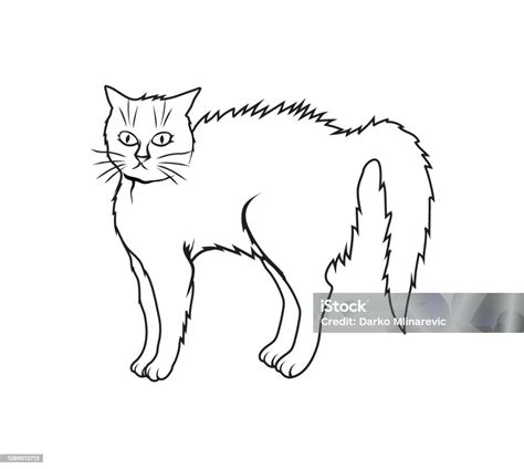 Angry Cat Stock Illustration Download Image Now Animal Animal