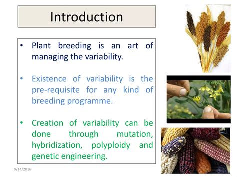 Marker Assisted Backcross Breeding Ppt